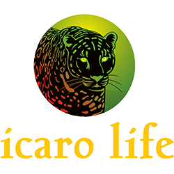 Small Square Logo 1